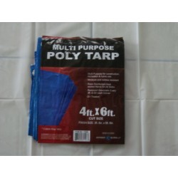 4'X6' Poly Tarp w/ medal grommets every 3 feet and on each corner. UV treated